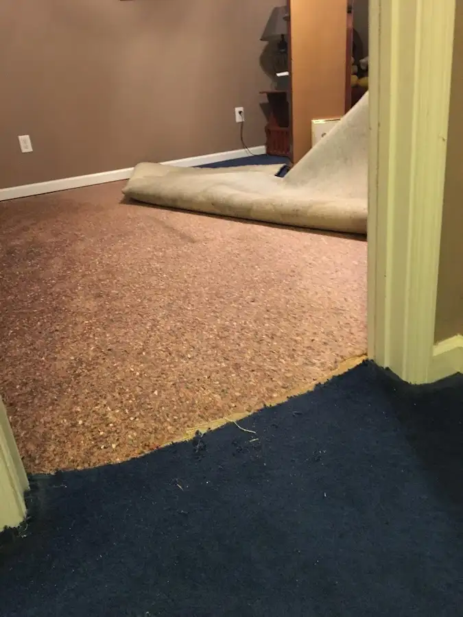 Carpet pad removal revealing water damage during Drying & Dehumidification in Cherry Hills Village