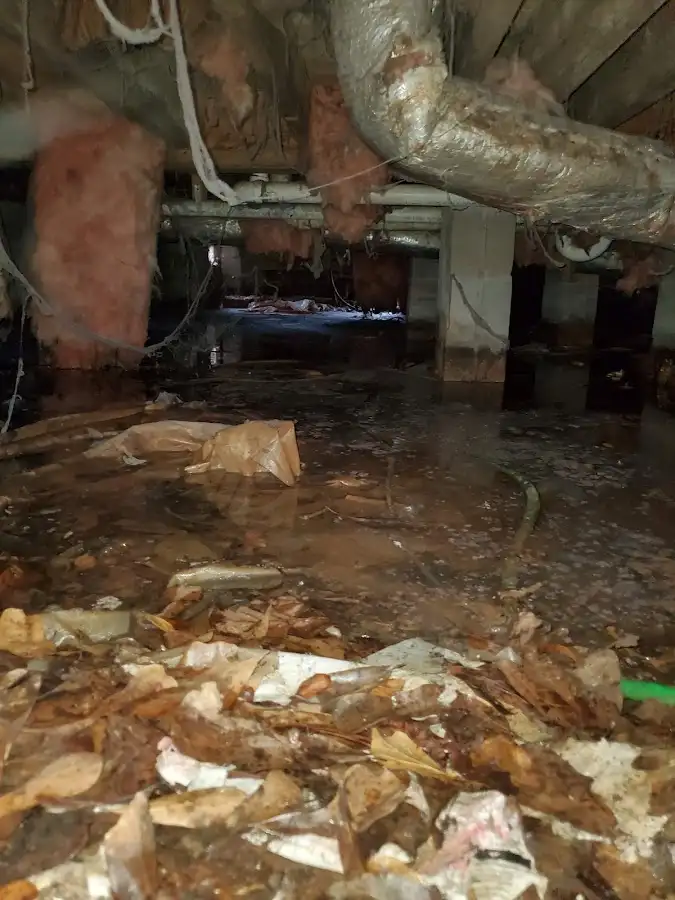 Crawl space flood assessment for Commercial Water Damage Restoration in Cherry Hills Village
