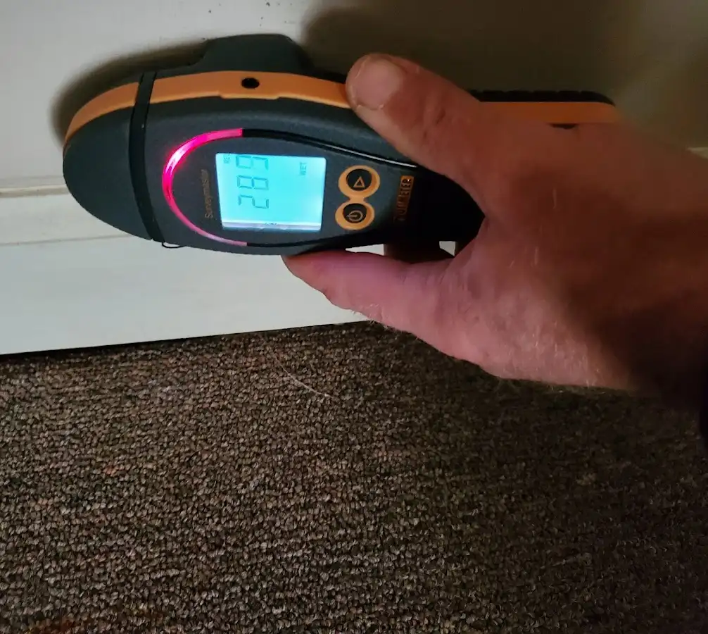 Moisture detection at baseboard during Sewage Cleanup & Sanitation in Cherry Hills Village